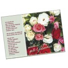 60 Rosen Postkarten